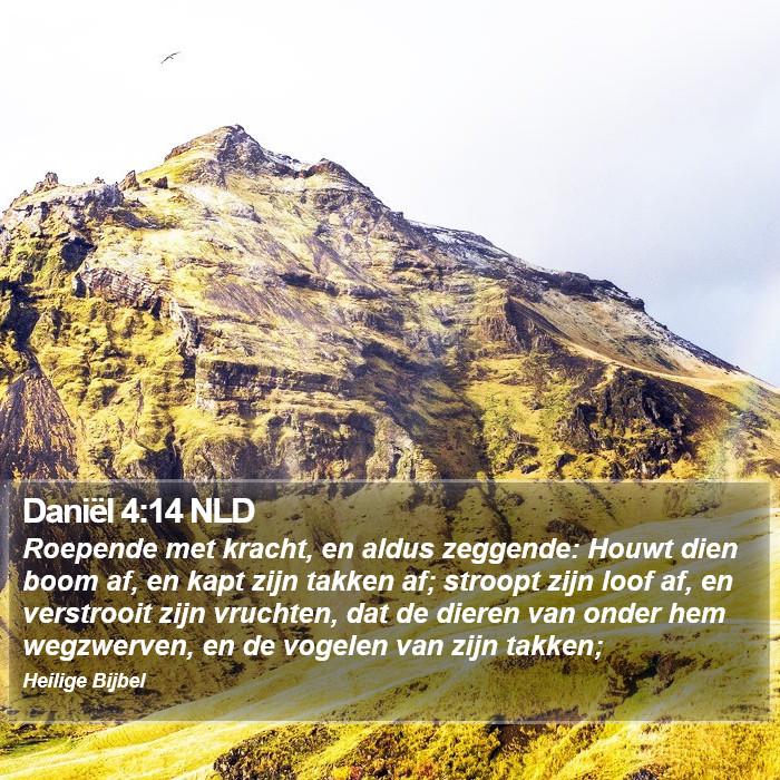 Daniël 4:14 NLD Bible Study