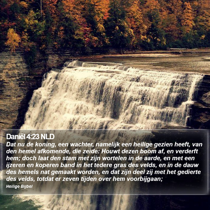 Daniël 4:23 NLD Bible Study