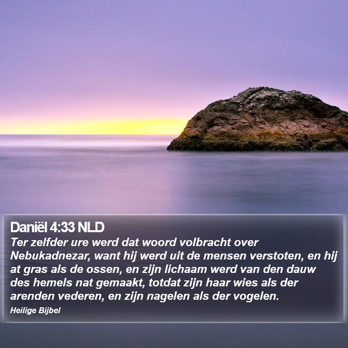 Daniël 4:33 NLD Bible Study