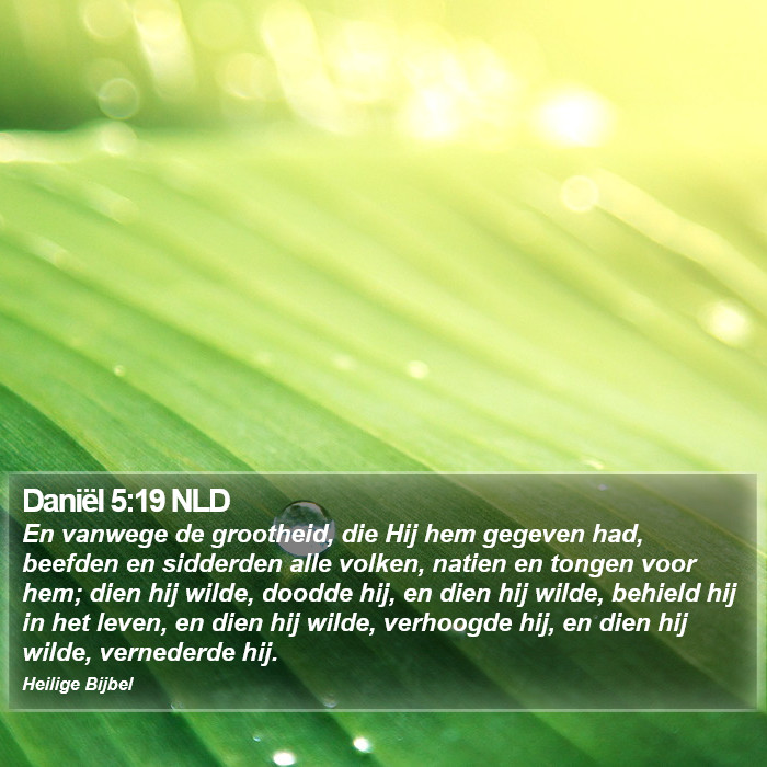 Daniël 5:19 NLD Bible Study