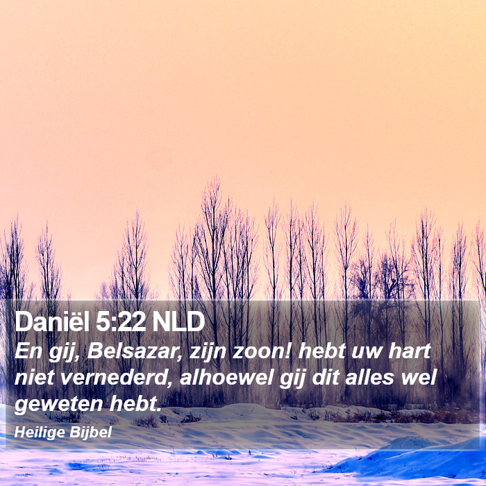 Daniël 5:22 NLD Bible Study