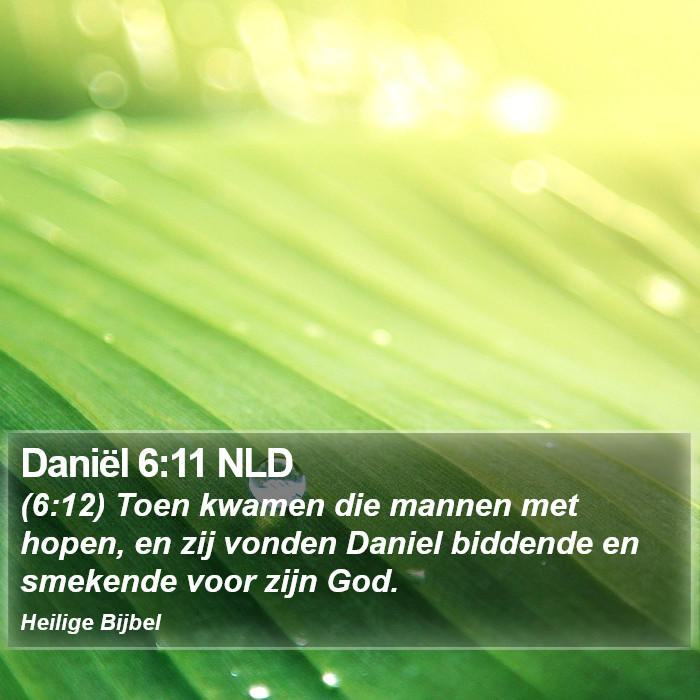 Daniël 6:11 NLD Bible Study