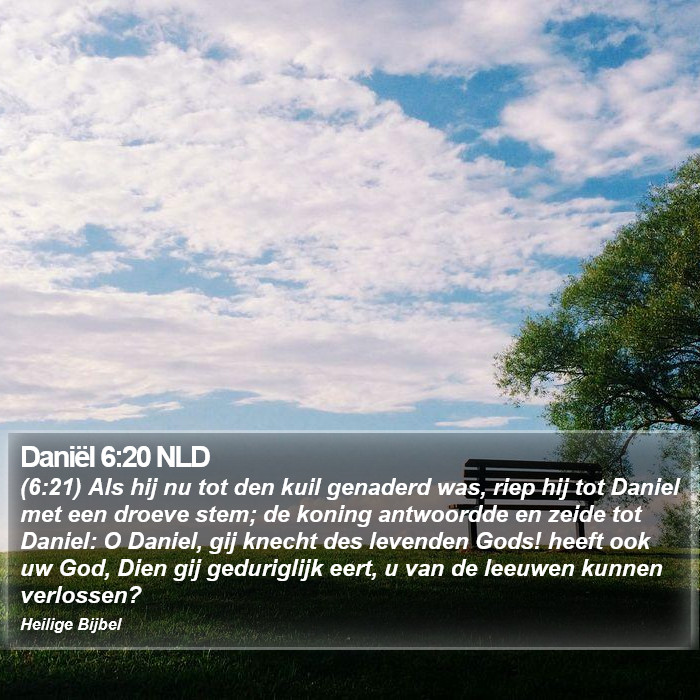 Daniël 6:20 NLD Bible Study