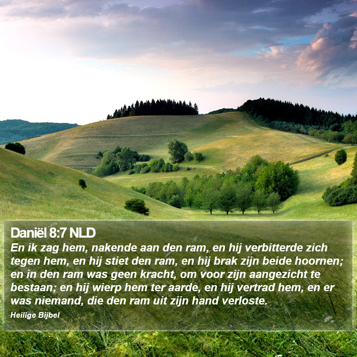 Daniël 8:7 NLD Bible Study