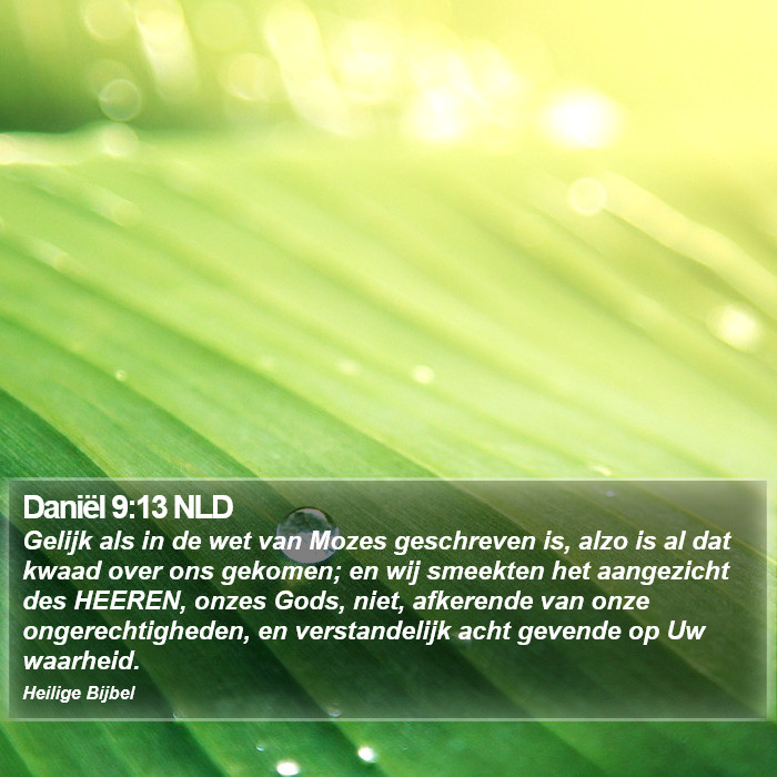 Daniël 9:13 NLD Bible Study