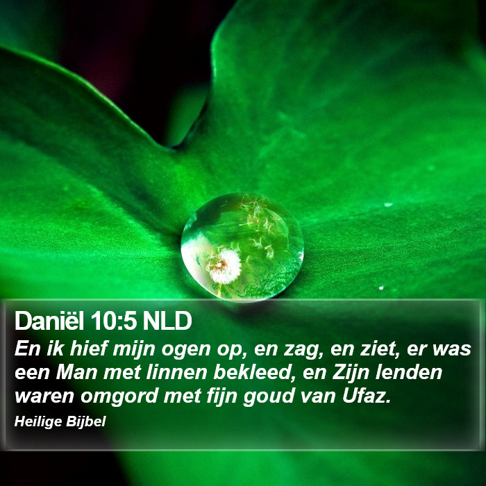 Daniël 10:5 NLD Bible Study