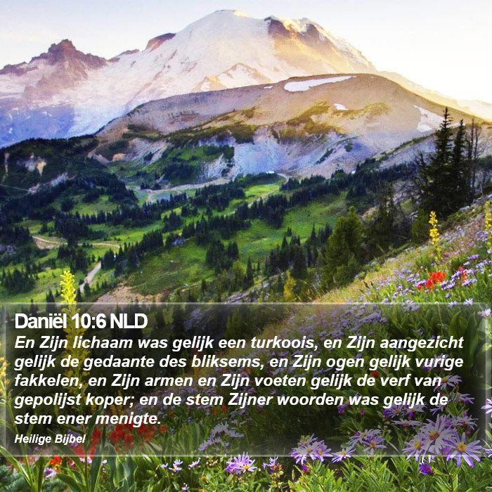 Daniël 10:6 NLD Bible Study