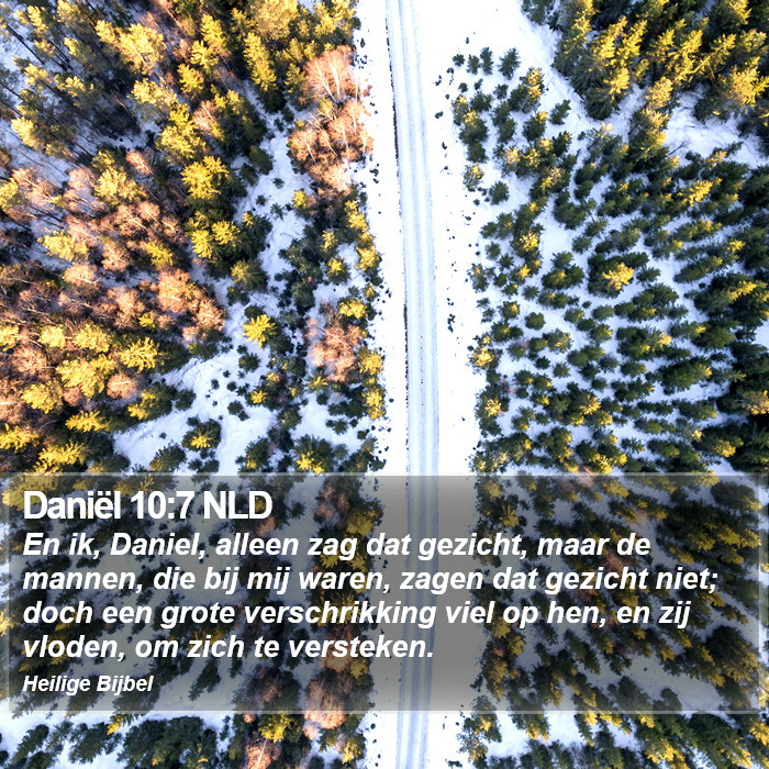 Daniël 10:7 NLD Bible Study