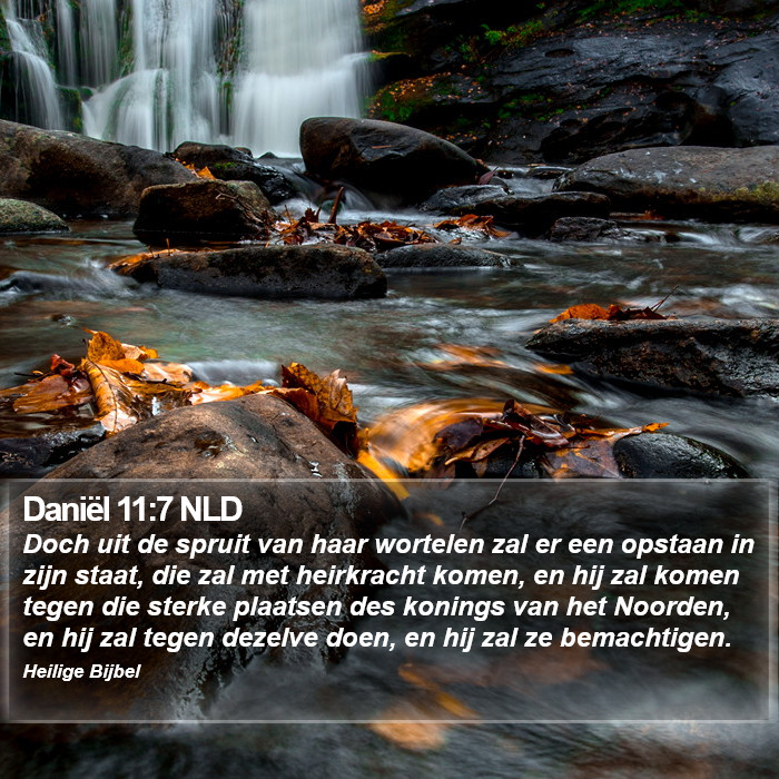 Daniël 11:7 NLD Bible Study