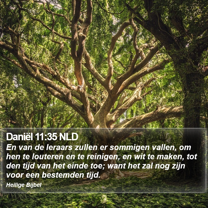 Daniël 11:35 NLD Bible Study