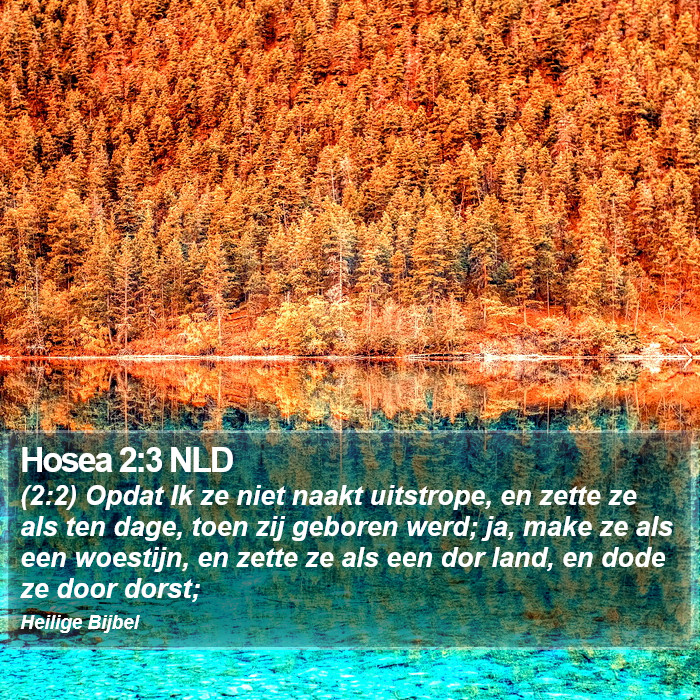 Hosea 2:3 NLD Bible Study