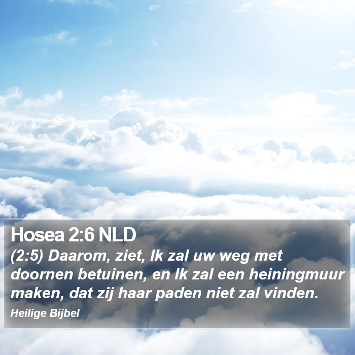 Hosea 2:6 NLD Bible Study