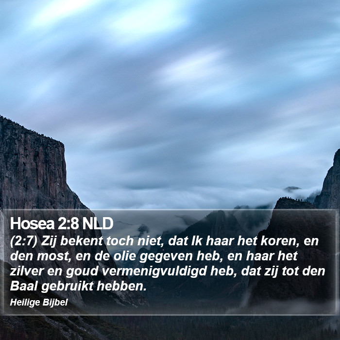 Hosea 2:8 NLD Bible Study