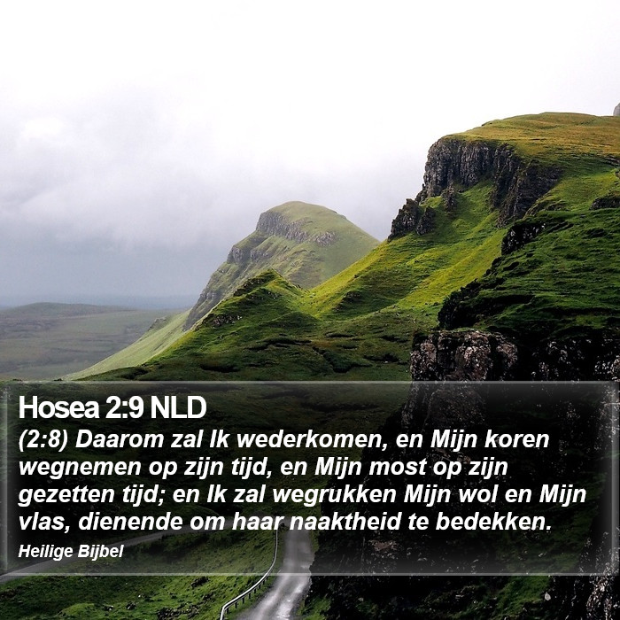 Hosea 2:9 NLD Bible Study