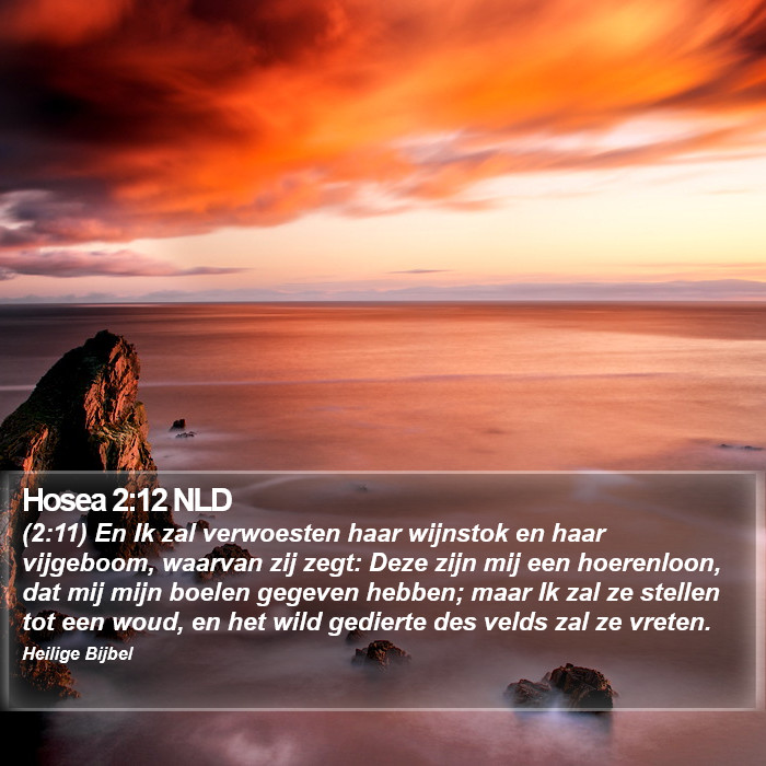 Hosea 2:12 NLD Bible Study