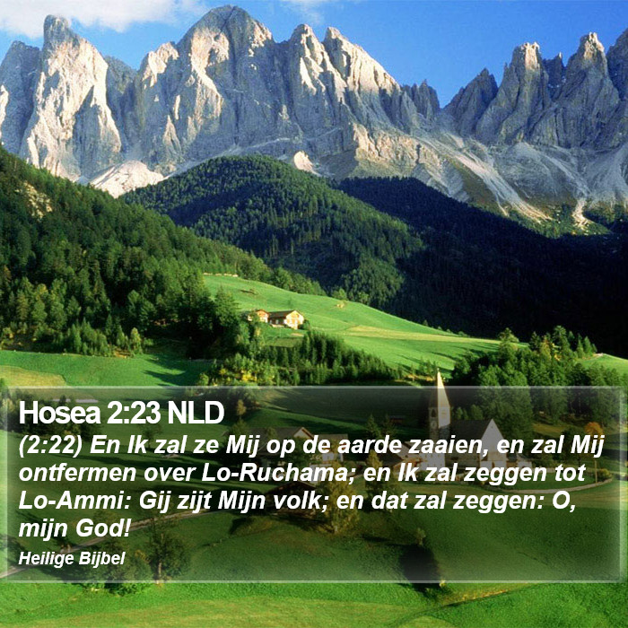 Hosea 2:23 NLD Bible Study