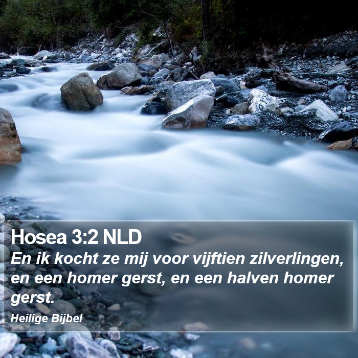 Hosea 3:2 NLD Bible Study