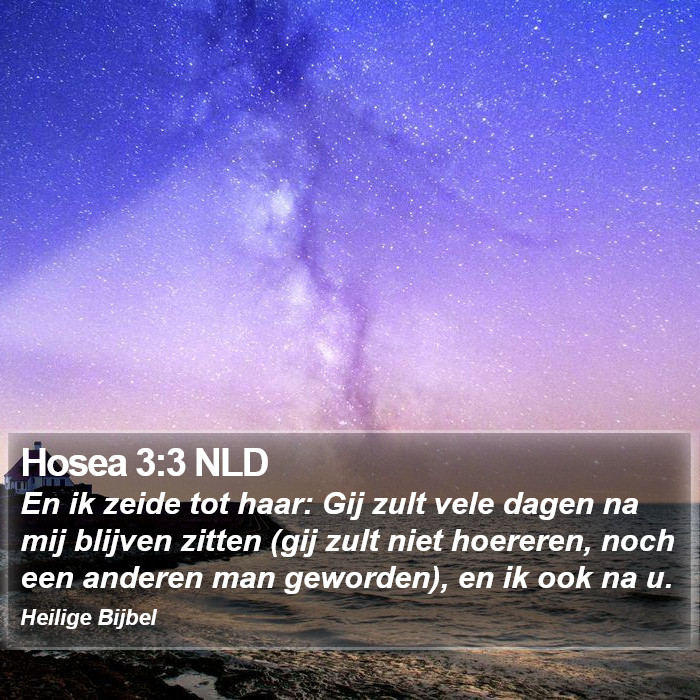 Hosea 3:3 NLD Bible Study