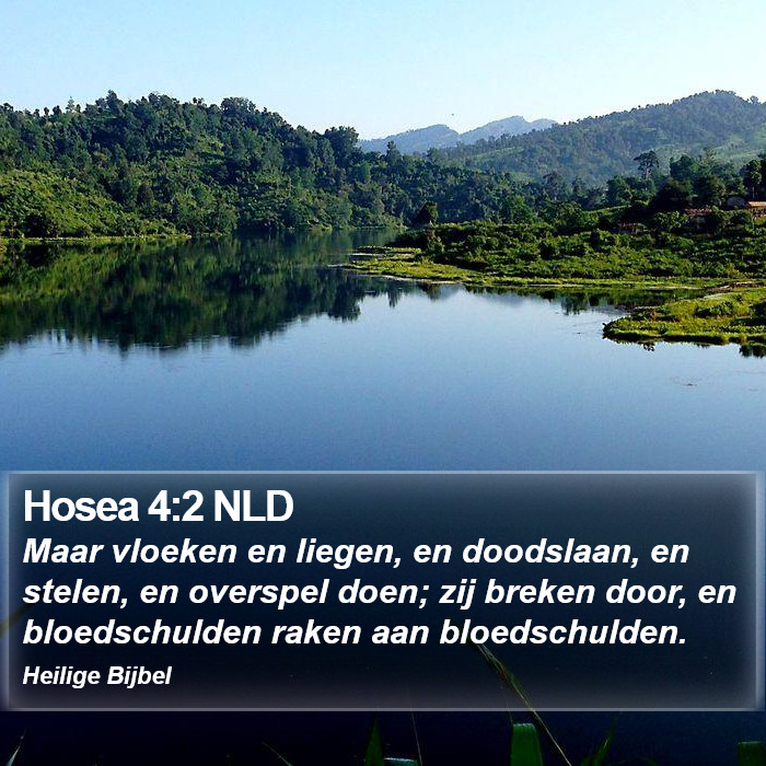 Hosea 4:2 NLD Bible Study