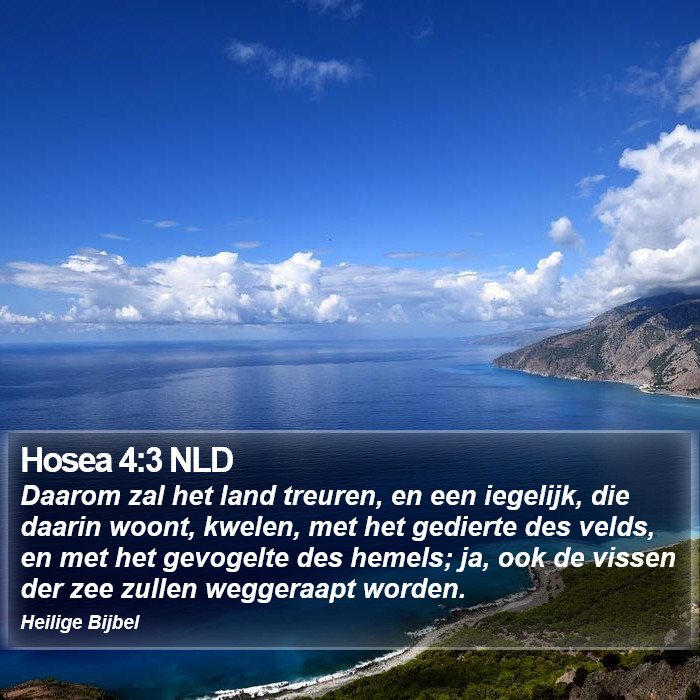 Hosea 4:3 NLD Bible Study