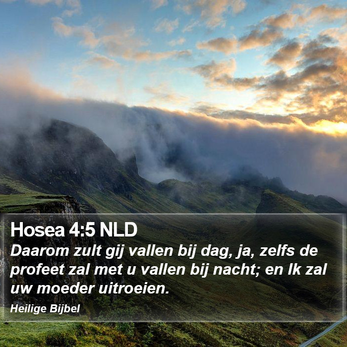 Hosea 4:5 NLD Bible Study