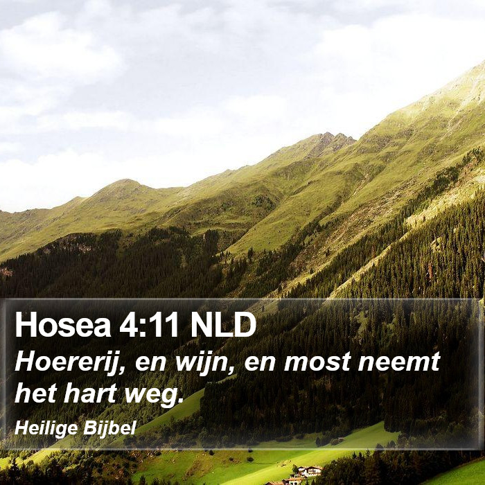 Hosea 4:11 NLD Bible Study