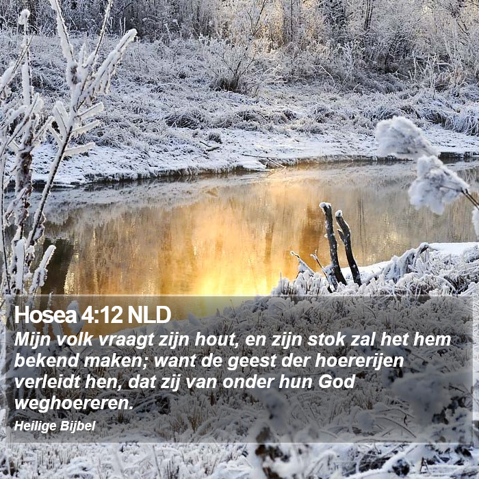 Hosea 4:12 NLD Bible Study