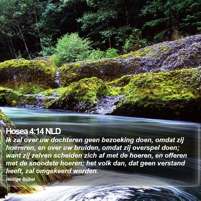 Hosea 4:14 NLD Bible Study