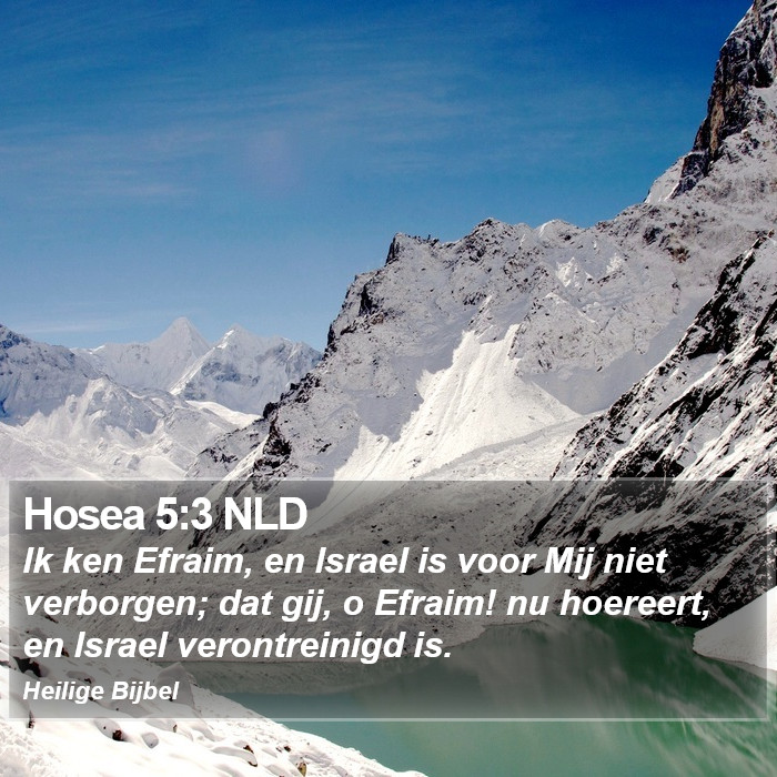 Hosea 5:3 NLD Bible Study