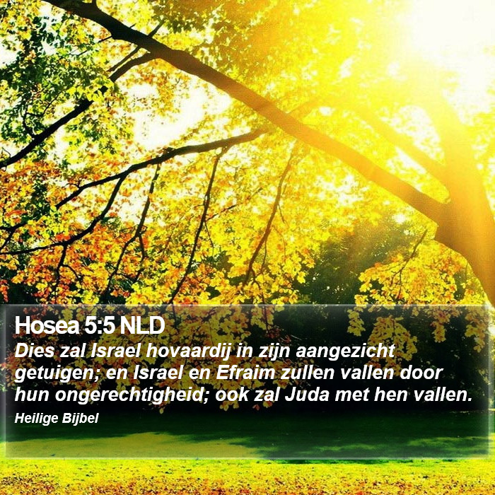 Hosea 5:5 NLD Bible Study
