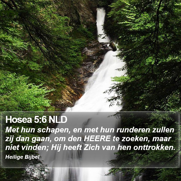 Hosea 5:6 NLD Bible Study