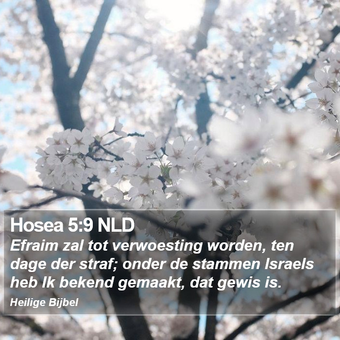 Hosea 5:9 NLD Bible Study