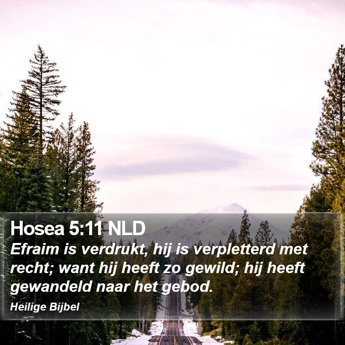 Hosea 5:11 NLD Bible Study