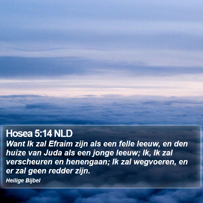 Hosea 5:14 NLD Bible Study