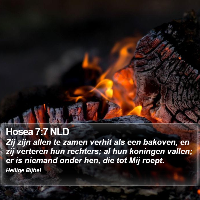 Hosea 7:7 NLD Bible Study