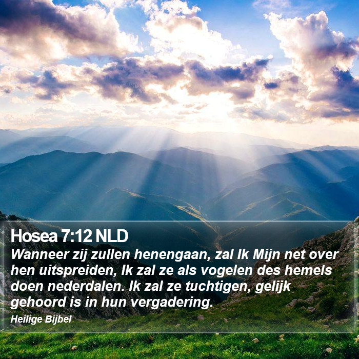 Hosea 7:12 NLD Bible Study