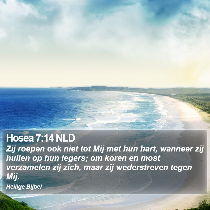 Hosea 7:14 NLD Bible Study