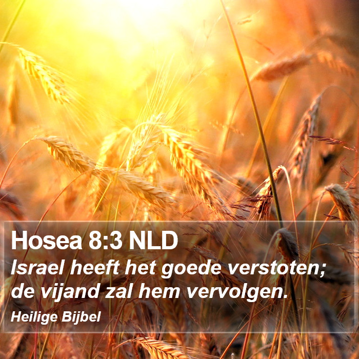 Hosea 8:3 NLD Bible Study