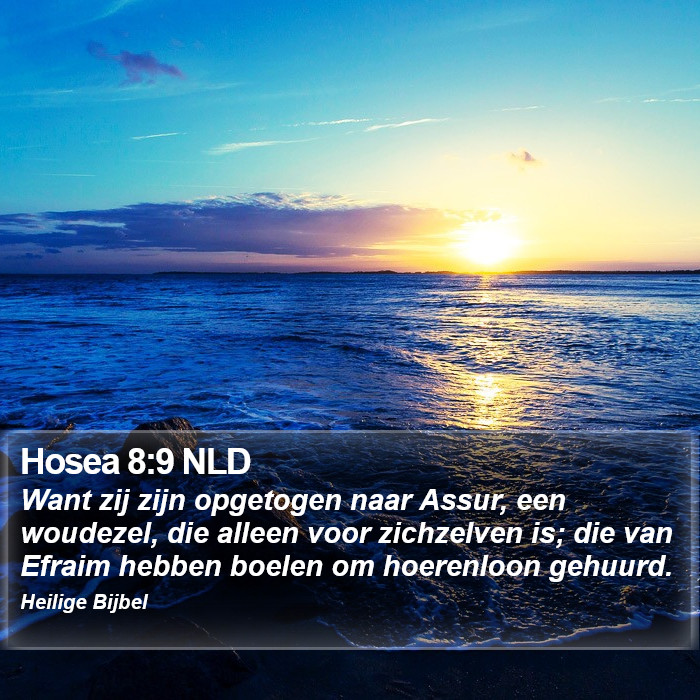 Hosea 8:9 NLD Bible Study