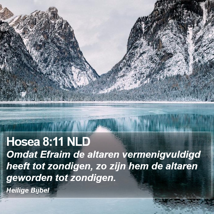 Hosea 8:11 NLD Bible Study