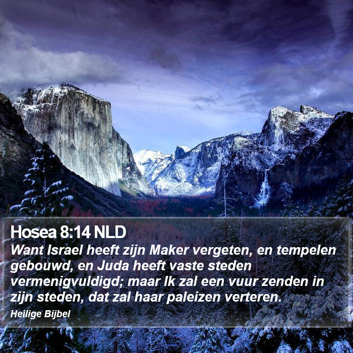 Hosea 8:14 NLD Bible Study