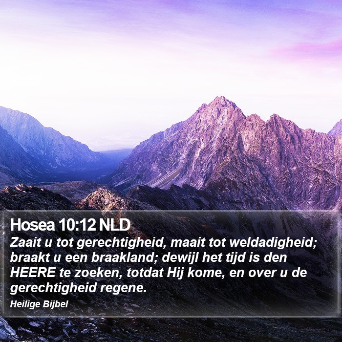 Hosea 10:12 NLD Bible Study