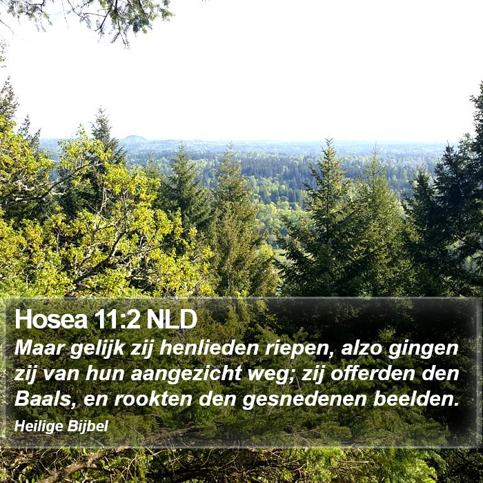Hosea 11:2 NLD Bible Study