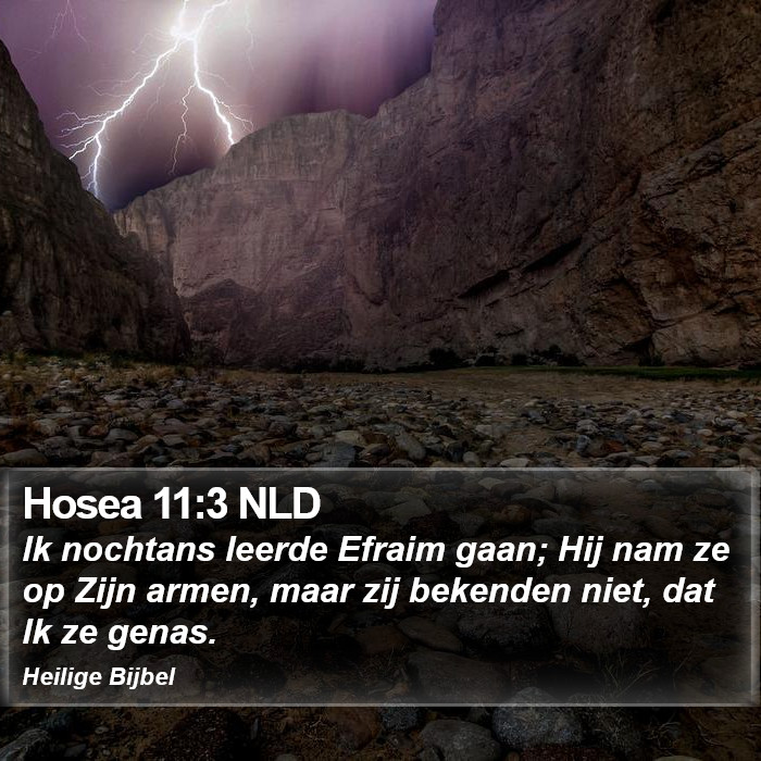 Hosea 11:3 NLD Bible Study