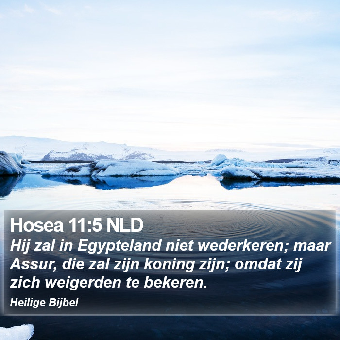 Hosea 11:5 NLD Bible Study