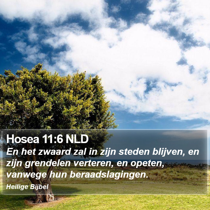 Hosea 11:6 NLD Bible Study