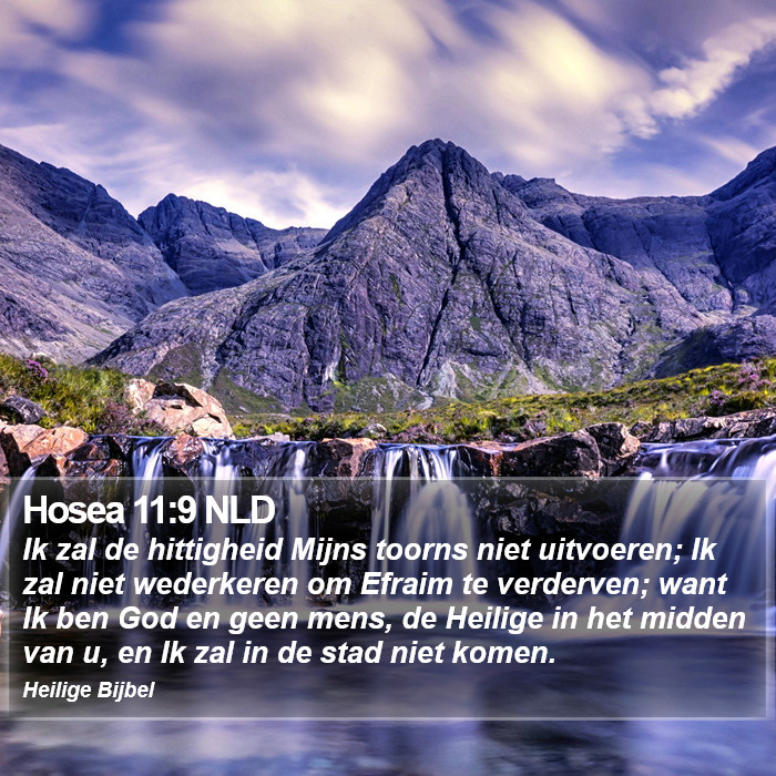 Hosea 11:9 NLD Bible Study