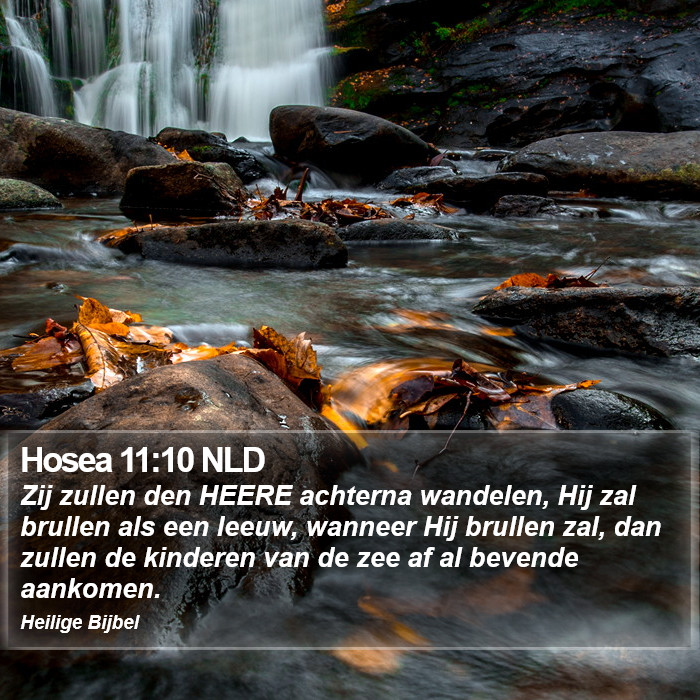 Hosea 11:10 NLD Bible Study
