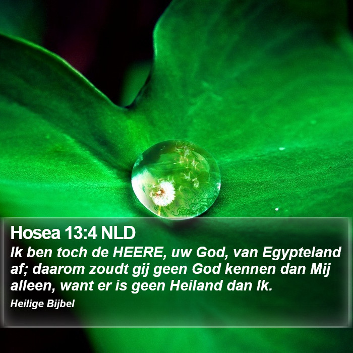 Hosea 13:4 NLD Bible Study