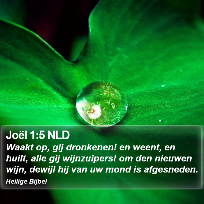 Joël 1:5 NLD Bible Study